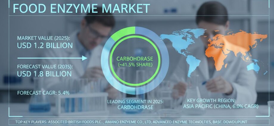 Food Enzyme Market