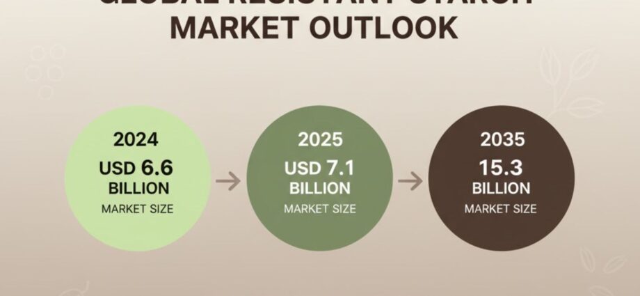 Resistant Starch Market